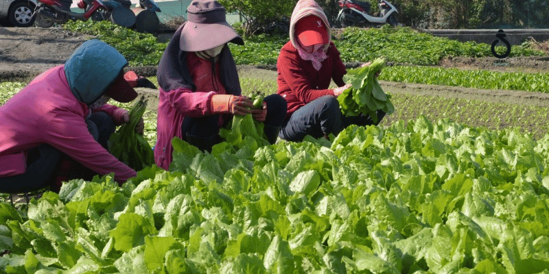 Kunci Meningkatkan Keseimbangan Ekosistem