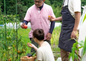 Langkah-Langkah Penyuluhan Pertanian untuk Meningkatkan Hasil Panen