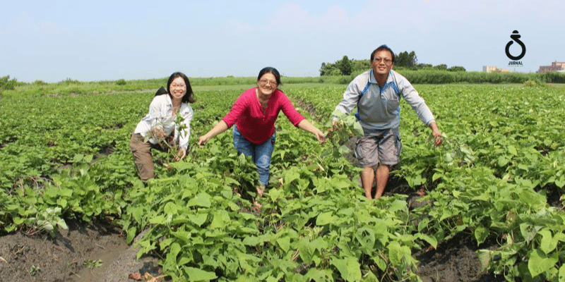 Penyuluhan Pertanian untuk Generasi Muda