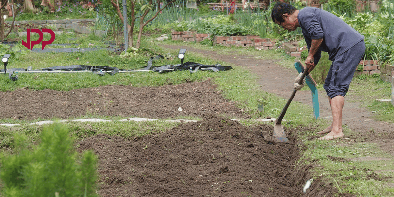 Inovasi Teknologi dalam Penyuluhan Pertanian
